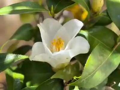 西方山極楽寺(岐阜県)