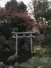 愛宕神社の鳥居