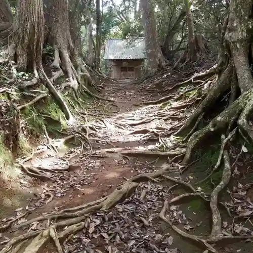 塩釜神社の自然