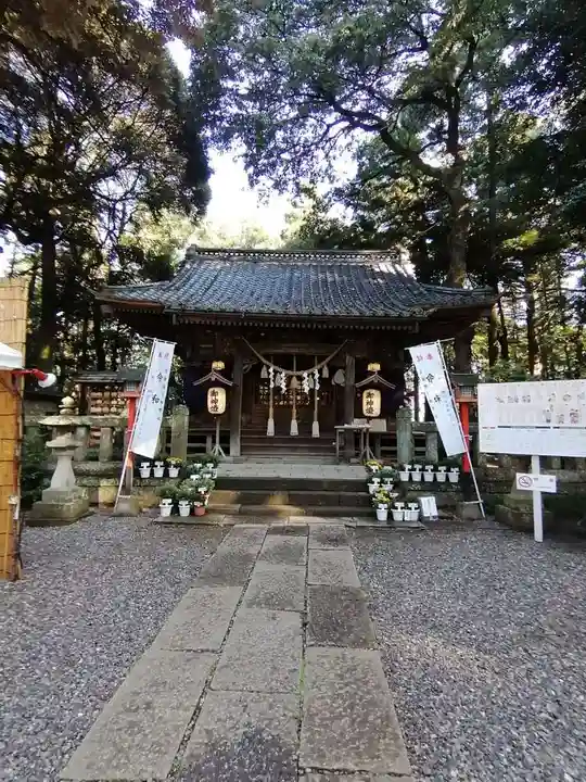 間々田八幡宮の本殿・本堂