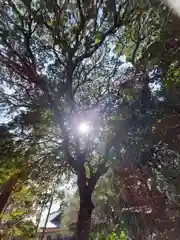 矢奈比賣神社（見付天神）(静岡県)