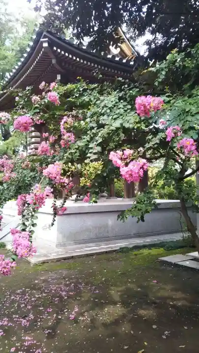 長久寺のその他建物