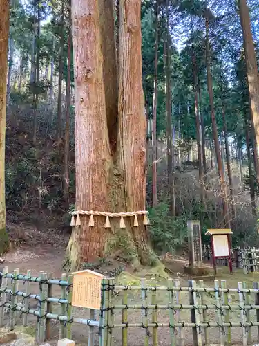 御岩神社の自然