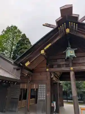 射水神社の{uncategorized: "未分類", other: "その他", undefined: "問題あり", building: "その他建物", grave: "お墓", sacred_gate: "鳥居", guardian: "狛犬", statue: "像", buddha: "仏像", history: "歴史", nature: "自然", garden: "庭園", animal: "動物", pagoda: "塔", temizu: "手水舎", mountain_gate: "山門・神門", sanctuary: "本殿・本堂", subordinate: "末社・摂社", art: "芸術", scenery: "景色", jizo: "地蔵", ema: "絵馬", goshuin: "御朱印", omikuji: "おみくじ", items: "授与品その他", amulet: "お守り", goshuincho: "御朱印帳", eats: "食事", festival: "お祭り", votive_dance: "神楽", shichigosan: "七五三参", wedding: "結婚式", experience: "体験その他", initially: "初詣", around: "周辺", anti_infection: "感染症対策"}