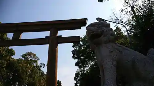 和泉國一之宮　大鳥大社の狛犬