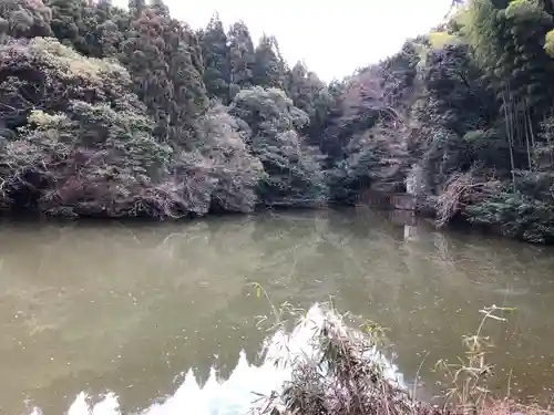 伏見稲荷大社の自然