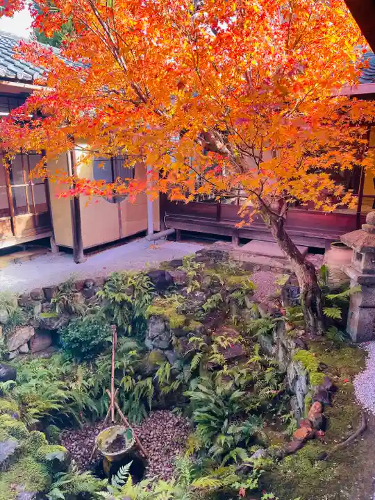 興聖寺(京都府)