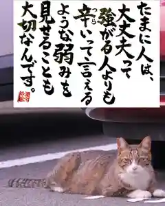 専念寺(大阪府)(2022年06月22日(水) 19時02分33秒投稿)