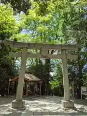 谷保天満宮の鳥居