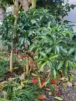 沙沙貴神社(滋賀県)