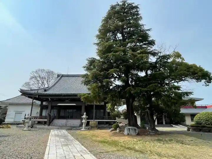 明照寺の{uncategorized: "未分類", other: "その他", undefined: "問題あり", building: "その他建物", grave: "お墓", sacred_gate: "鳥居", guardian: "狛犬", statue: "像", buddha: "仏像", history: "歴史", nature: "自然", garden: "庭園", animal: "動物", pagoda: "塔", temizu: "手水舎", mountain_gate: "山門・神門", sanctuary: "本殿・本堂", subordinate: "末社・摂社", art: "芸術", scenery: "景色", jizo: "地蔵", ema: "絵馬", goshuin: "御朱印", omikuji: "おみくじ", items: "授与品その他", amulet: "お守り", goshuincho: "御朱印帳", eats: "食事", festival: "お祭り", votive_dance: "神楽", shichigosan: "七五三参", wedding: "結婚式", experience: "体験その他", initially: "初詣", around: "周辺", anti_infection: "感染症対策"}