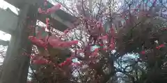 菅大臣神社の自然