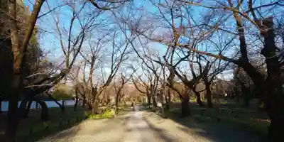 平野神社(京都府)