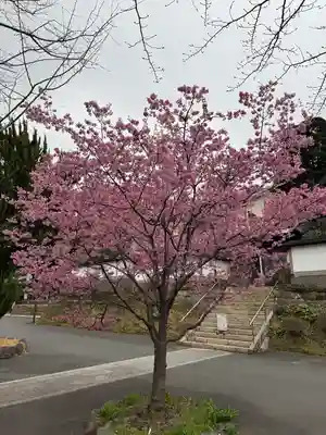 建長寺(神奈川県)