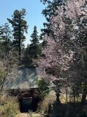 太平山神社の{uncategorized: "未分類", other: "その他", undefined: "問題あり", building: "その他建物", grave: "お墓", sacred_gate: "鳥居", guardian: "狛犬", statue: "像", buddha: "仏像", history: "歴史", nature: "自然", garden: "庭園", animal: "動物", pagoda: "塔", temizu: "手水舎", mountain_gate: "山門・神門", sanctuary: "本殿・本堂", subordinate: "末社・摂社", art: "芸術", scenery: "景色", jizo: "地蔵", ema: "絵馬", goshuin: "御朱印", omikuji: "おみくじ", items: "授与品その他", amulet: "お守り", goshuincho: "御朱印帳", eats: "食事", festival: "お祭り", votive_dance: "神楽", shichigosan: "七五三参", wedding: "結婚式", experience: "体験その他", initially: "初詣", around: "周辺", anti_infection: "感染症対策"}
