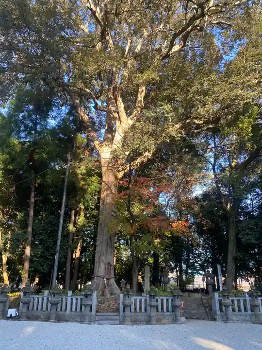 鴨都波神社(奈良県)