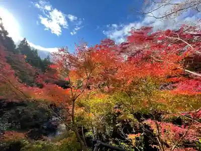 長徳寺(三重県)