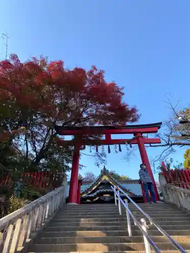 高尾山薬王院の鳥居