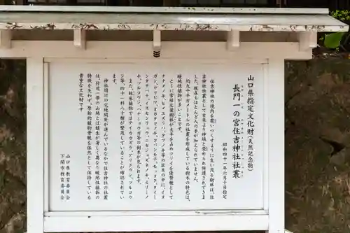 住吉神社(山口県)