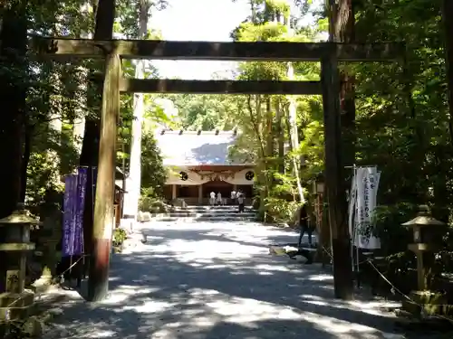 椿大神社の鳥居