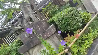 晴明神社(京都府)