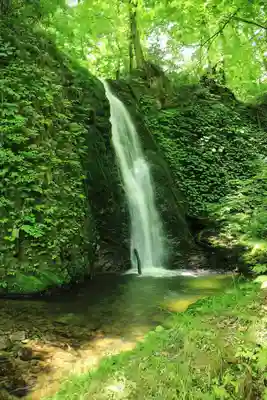 大山祇神社の周辺