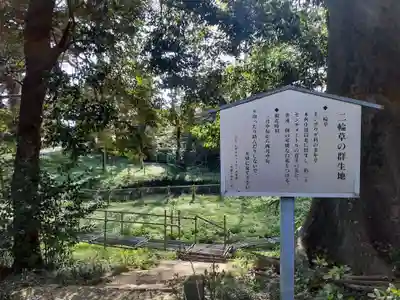 野木神社の歴史