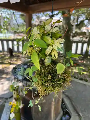 小名浜諏訪神社 ～海の鎮守様～の手水舎