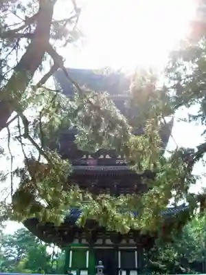 興福寺(奈良県)