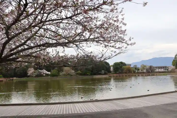 橿原神宮(奈良県)