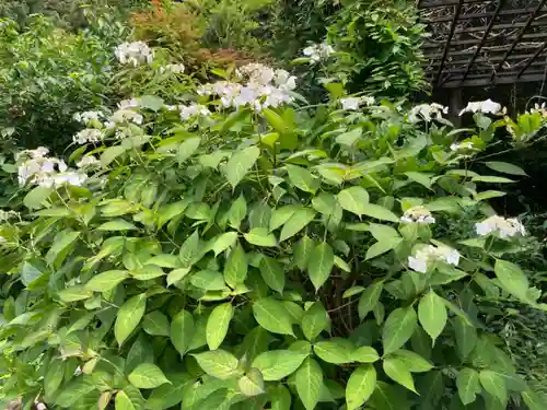 黄梅院（円覚寺塔頭）(神奈川県)