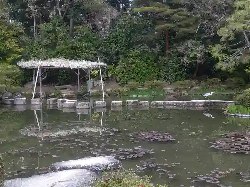 平安神宮の庭園