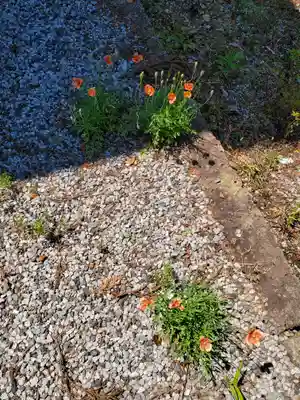 白髭神社の自然