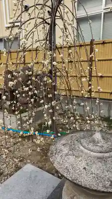 大松禅寺(京都府)