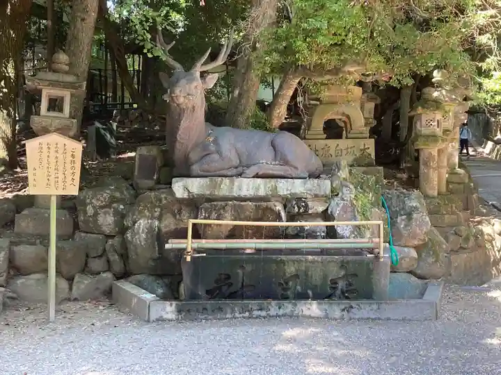 春日大社(奈良県)