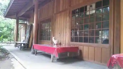 賀茂御祖神社（下鴨神社）の動物