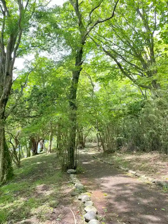 九頭龍神社本宮(神奈川県)