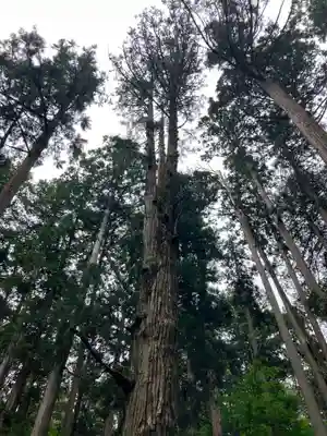 平泉寺白山神社(福井県)