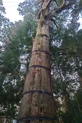 高千穂神社(宮崎県)