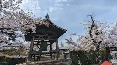 妙顯寺（妙顕寺）(京都府)