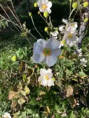 高田寺(愛知県)