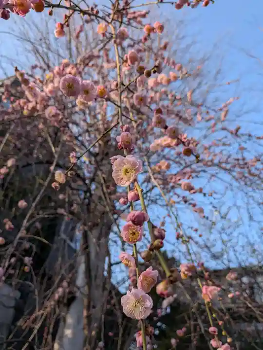 蓮華寺(東京都)