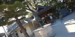 藤森神社の狛犬