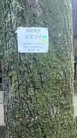 竹下稲荷神社(東京都)