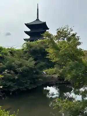 東寺（教王護国寺）(京都府)
