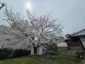 長寿寺(和歌山県)