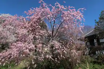 瑠璃寺(長野県)