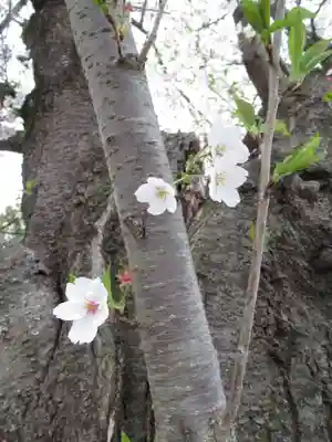真光寺(千葉県)