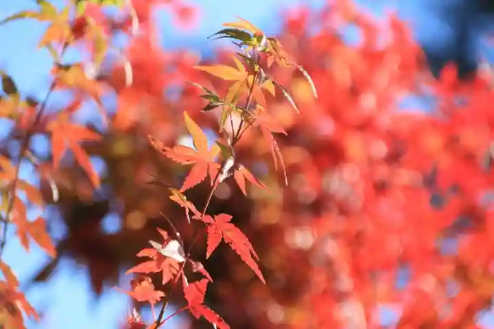豊景神社の自然