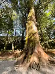 伊勢神宮内宮（皇大神宮）(三重県)